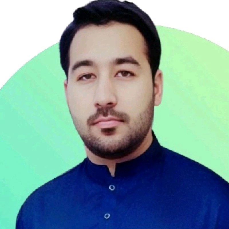 Ameer Hamza